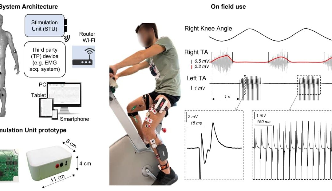 Design of a Programmable and Modular Neuromuscular Electrical Stimulator Integrated Into a Wireless Body Sensor Network