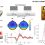 Design and Validation of a Wireless Body Sensor Network for Integrated EEG and HD-sEMG Acquisitions
